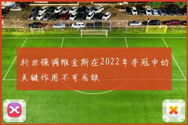 科尔强调维金斯在2022年夺冠中的关键作用不可或缺
